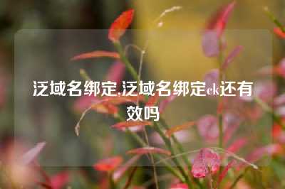泛域名绑定,泛域名绑定ck还有效吗