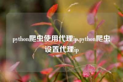 python爬虫使用代理ip,python爬虫设置代理ip