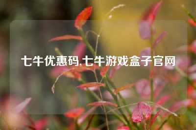 七牛优惠码,七牛游戏盒子官网