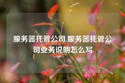 服务器托管公司,服务器托管公司业务说明怎么写