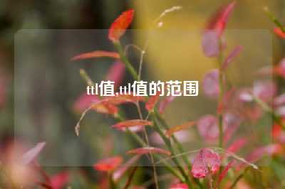 ttl值,ttl值的范围
