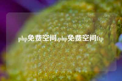 php免费空间,php免费空间ftp