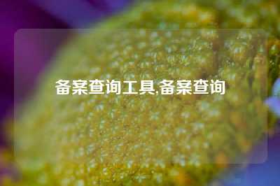 备案查询工具,备案查询