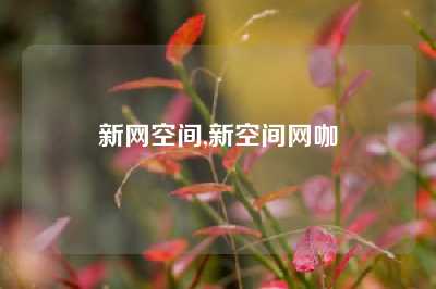 新网空间,新空间网咖