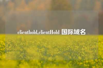 clienthold,clientHold 国际域名