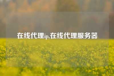 在线代理ip,在线代理服务器
