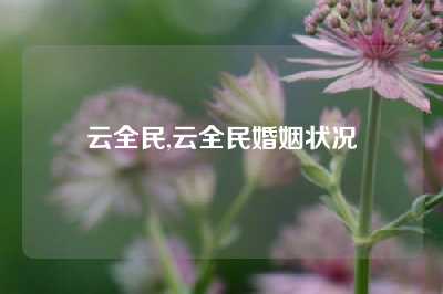 云全民,云全民婚姻状况
