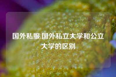 国外私服,国外私立大学和公立大学的区别