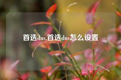 首选dns,首选dns怎么设置