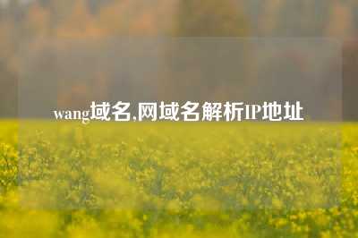 wang域名,网域名解析IP地址