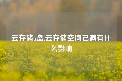 云存储u盘,云存储空间已满有什么影响
