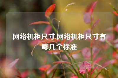 网络机柜尺寸,网络机柜尺寸有哪几个标准