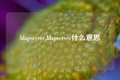 ldapserver,ldapserver什么意思