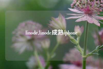 linode,linode成熟iphone