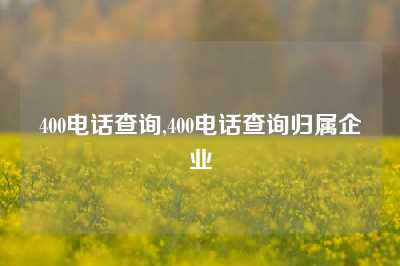 400电话查询,400电话查询归属企业