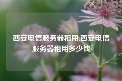 西安电信服务器租用,西安电信服务器租用多少钱
