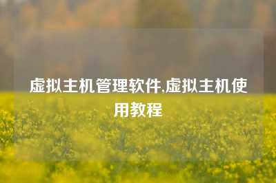 虚拟主机管理软件,虚拟主机使用教程