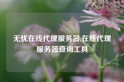 无忧在线代理服务器,在线代理服务器查询工具