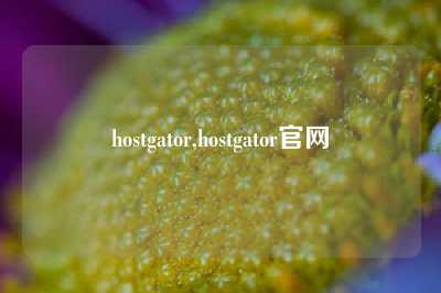 hostgator,hostgator官网