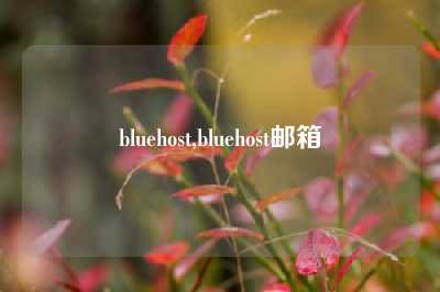 bluehost,bluehost邮箱