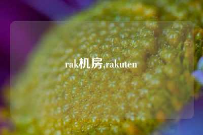 rak机房,rakuten