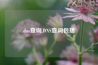 dns查询,DNS查询包括