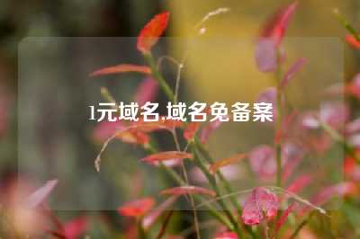 1元域名,域名免备案