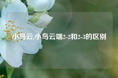 小鸟云,小鸟云端2-2和2-3的区别