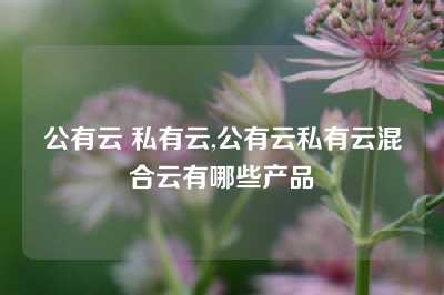 公有云 私有云,公有云私有云混合云有哪些产品