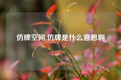 仿牌空间,仿牌是什么意思啊