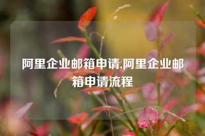 阿里企业邮箱申请,阿里企业邮箱申请流程