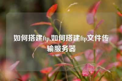 如何搭建ftp,如何搭建ftp文件传输服务器