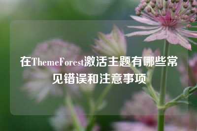 在ThemeForest激活主题有哪些常见错误和注意事项
