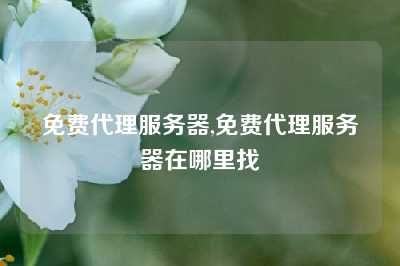 免费代理服务器,免费代理服务器在哪里找