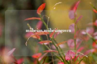 miibeian,miibeiangovcn