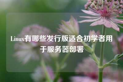 Linux有哪些发行版适合初学者用于服务器部署