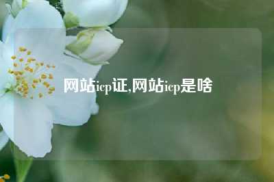 网站icp证,网站icp是啥