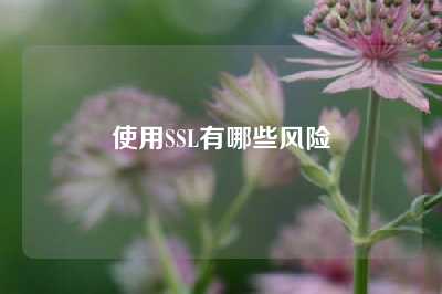 使用SSL有哪些风险