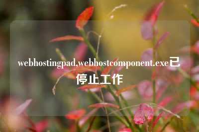 webhostingpad,webhostcomponent.exe已停止工作