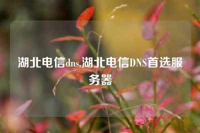 湖北电信dns,湖北电信DNS首选服务器