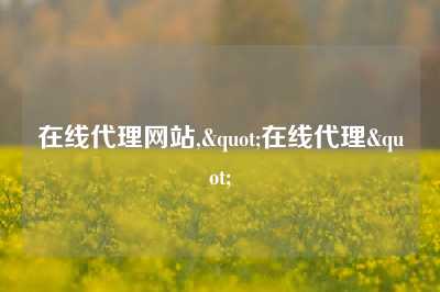 在线代理网站,"在线代理"