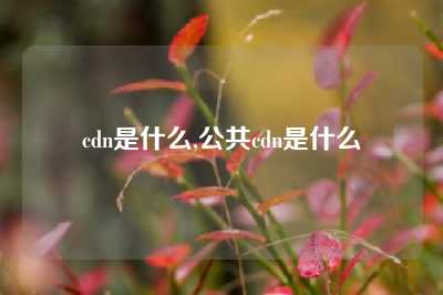 cdn是什么,公共cdn是什么