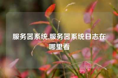 服务器系统,服务器系统日志在哪里看