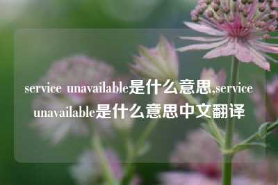 service unavailable是什么意思,serviceunavailable是什么意思中文翻译