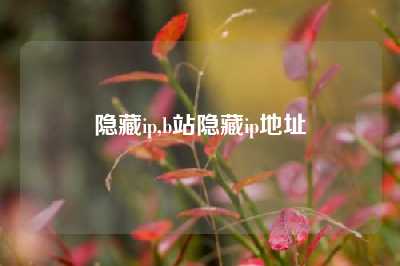 隐藏ip,b站隐藏ip地址