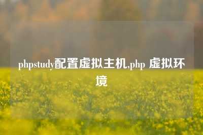 phpstudy配置虚拟主机,php 虚拟环境
