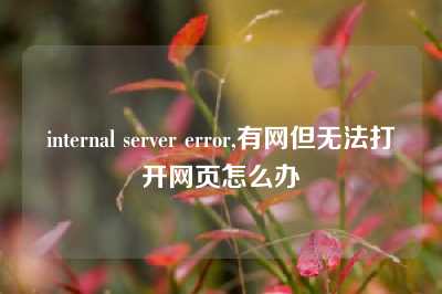 internal server error,有网但无法打开网页怎么办