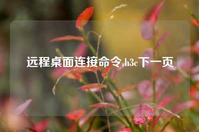 远程桌面连接命令,h3c下一页