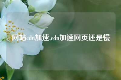 网站cdn加速,cdn加速网页还是慢