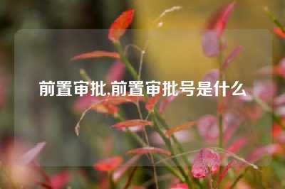 前置审批,前置审批号是什么